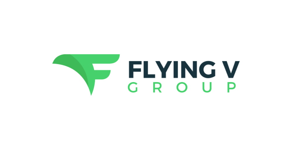 flying v logo