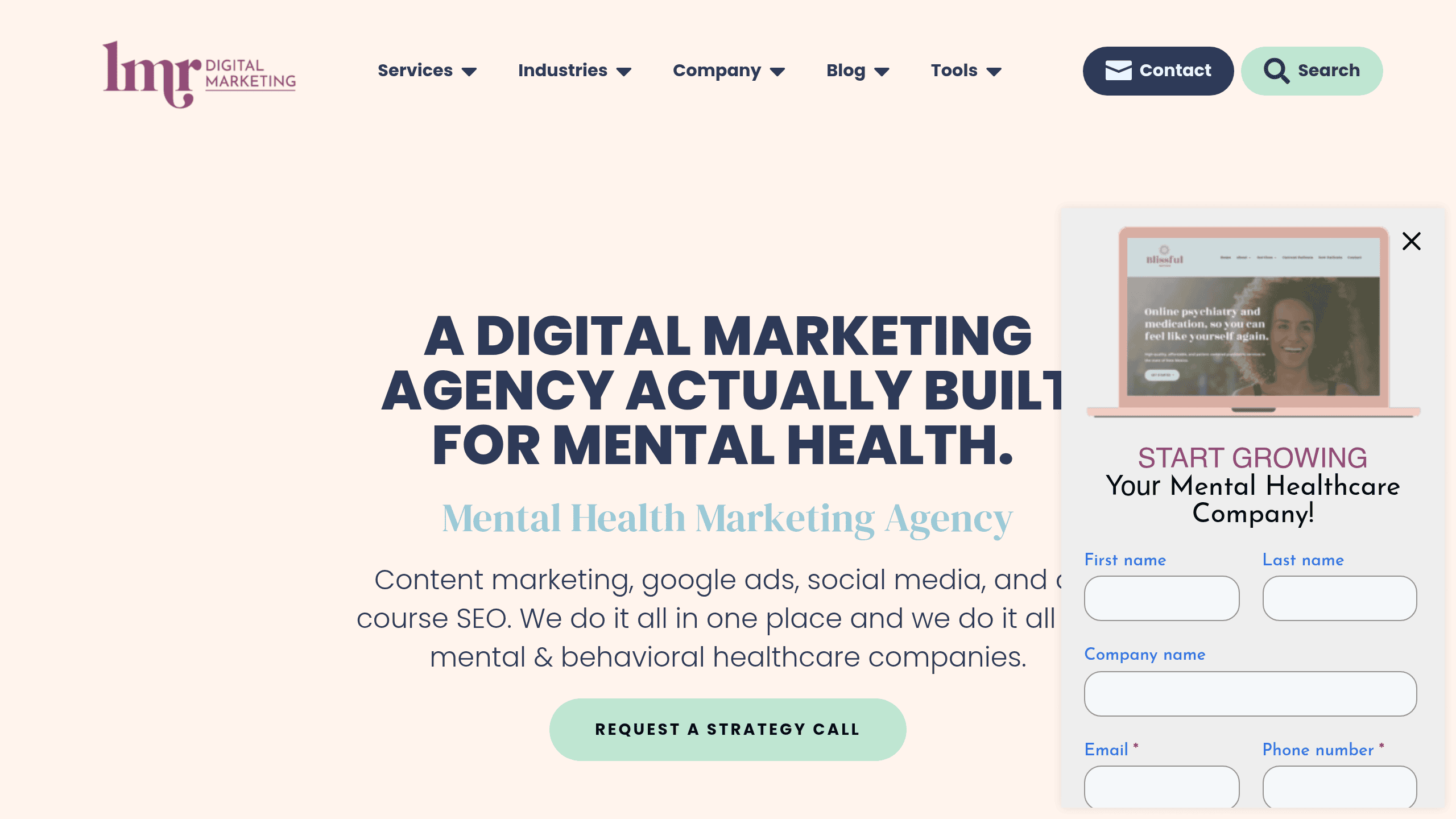 Homepage screenshot of LMR Digital Marketing. Based in US. LMR Digital Marketing runs HIPAA-compliant Meta and LinkedIn campaigns for therapy practices and mental health groups.